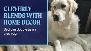 Give Your Dog the Best Sleep Ever with PupRug! 🛏️🐕