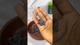 Лучший способ использования Иру (плодов рожкового дерева) #airhescorner #youtubeblack #shorts #sh...