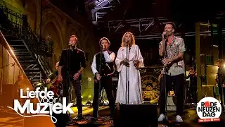 Liefde voor Muziek voor Rode Neuzen Dag - 'Porselein' | Liefde voor Muziek: De Reünie | VTM