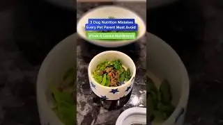 3 Dog Nutrition Mistakes Every Pet Parent Must Avoid 😱 #shorts #dogmom #dogdad