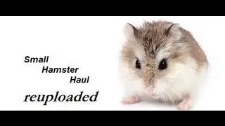 small hamster hual