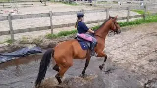 Ponykamp 2017 week 2 Cross