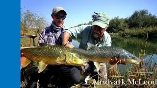 Fly fishing for Largemouth Yellowfish on the Orange River