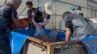 How We Buy Koi in Japan| Inside a Real Koi Dealer&rsquo;s Selection Process - Episode 1: Arriving in Japan