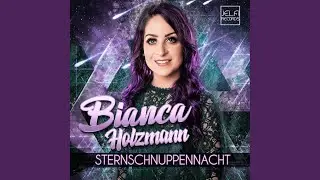 Sternschnuppennacht