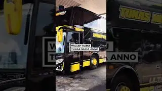 Tunas muda anno dengan penampilan baru #stj #bus #tunasbolo