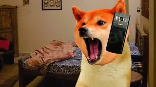 আমার টাকা চাই 😡 | Prank Caller | doge cheems bangla meme