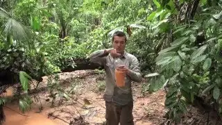 BOLIVIE : trek de SURVIE en AMAZONIE -2- dormir avec une averse tropicale