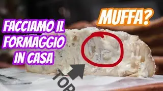 Come fare il formaggio tipo “Gorgonzola” in casa