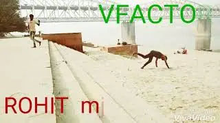 Vfactor