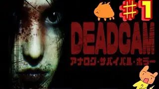 オバケを倒す事が出来るんですか！じゃあ、ビビりませんよ〜〜〜◀︎ビッグフラグ【DEADCAM】【生放送】