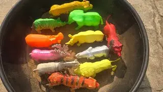 ASMR Unboxing🎁🐄🐇: Safari Plastic Animals Review & Collectible Safari Toys