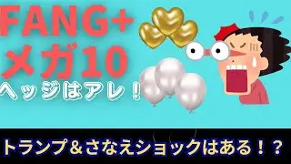 新NISA【iFreeNEXT FANG+】メガ10暴落も！？トランプ＆さなえショックでどうなる？1.20