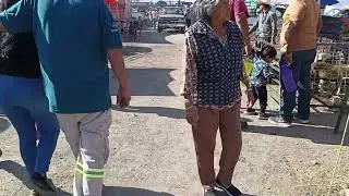 Tianguis de ganado Yecapixtla Morelos 