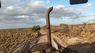Vamos botar sal pra o gado 
