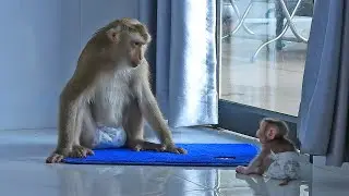 Baby Luka Listening To Mommy Luna Teach And Talk To Him