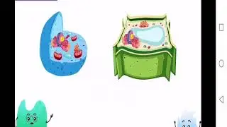 Science Grade 6 Chapter 1 Differentiate between an animal cell and a plant cell