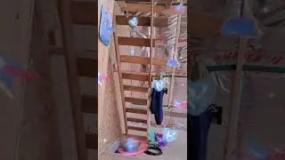 The dog watches the inspection of the frame plane (Собака наблюдает за проверкой плоскости каркаса)