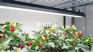 Barrina LP900 Mini Greenhouse 4-Tier Plant Stand with Grow Lights | Grow Light Installation
