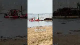 Technik-Spektakel im Sedlitzer See. Was machen die S&auml;gen und Greifer dort?