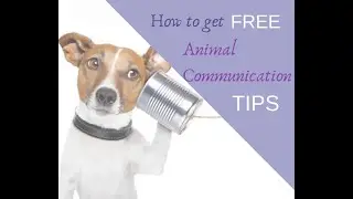 Want to know how to get free Animal Communication goodies from me?