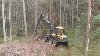 Avverkning, Eggeby 20191025