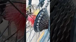 New leader bike / gear cycle