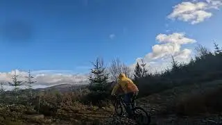Mountain Biking - Coed y Brenin 2025