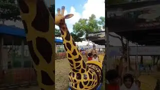 Giraffe Train