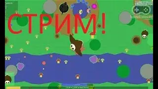 НОЧНОЙ СТРИМ. МОПИО | NIGHT STREAM. MOPE.IO