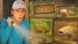 Ho scoperto un negozio di animali abbandonato!