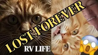 RV Life Cat-astrophe Story & FULL TIME RVing Tips
