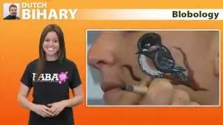 Blobology by Dutch Bihary