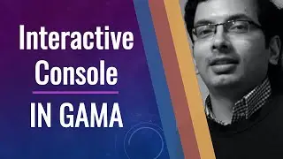 Interactive Console in GAMA, GAMA Platform for Agent Based Modeling