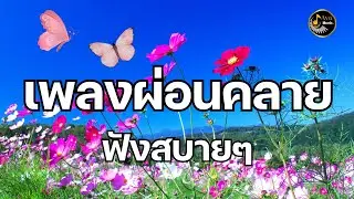 เพลงผ่อนคลาย ฟังสบายๆ ช่วยคลายเครียด ผ่อนคลายหัวใจ 