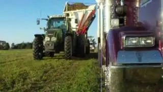 Alfalfa Harvesting: Alfalfa Cubes for Horses