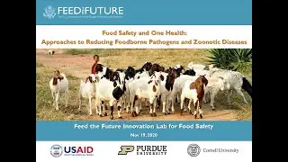 Webinar Series: Food Safety and One Health - Reducing Foodborne Pathogens and Zoonotic Diseases