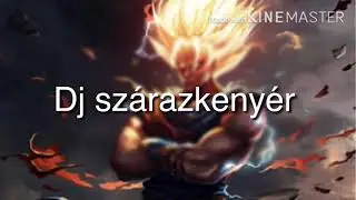 Dj sz&aacute;razkeny&eacute;r - hamarosan norm&aacute;lis n&eacute;v lesz baszat&oacute;s mix