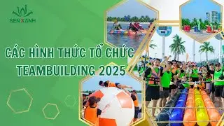 C&aacute;c h&igrave;nh thức tổ chức Teambuilding 2025 | Sen Xanh Event & Teambuilding