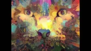 Catnip Color Perception