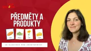 Předměty a produkty ve španělštině (16 slovíček)