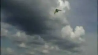 Mano aitvaras