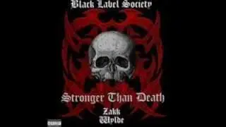 Zakk wylde - Just killing Time