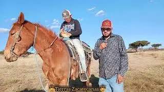 Desde niño, me enseñe a montar a caballo 🐎. Y disfruto montar mi burrito 