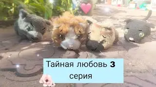 TheCatCollection: Тайная любовь 3 (конец)
