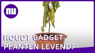 Gadget laat plant 'zeuren' om water - Prul of Praal? #58 | NU.nl