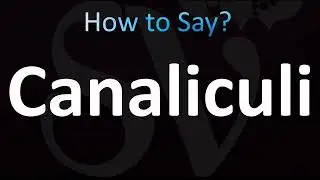 How to Pronounce Canaliculi (CORRECTLY!)