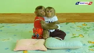 Sweet Heart Baby Luna Warm Hugging Obedient Kako Sleep Together