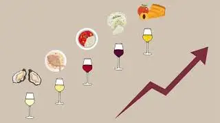 Which wine should come first? Understanding the logic behind wine and food progression