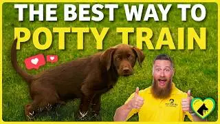 Puppy Potty Training Routines that Actually Work! | A Complete Guide